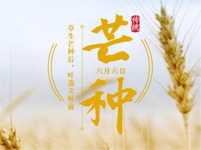 你好芒種