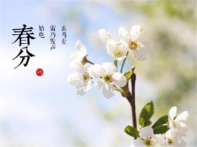 春分——陌上花正艷，春色入中分