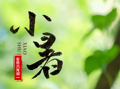 時惟七月——小暑至，蓮生香
